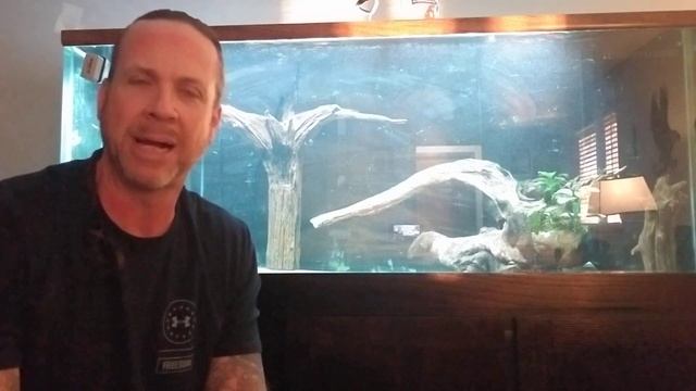 Converting saltwater tank into freshwater