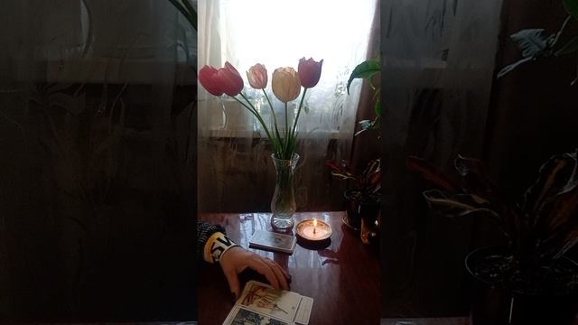 Таро.Помощь от Вселенной.
