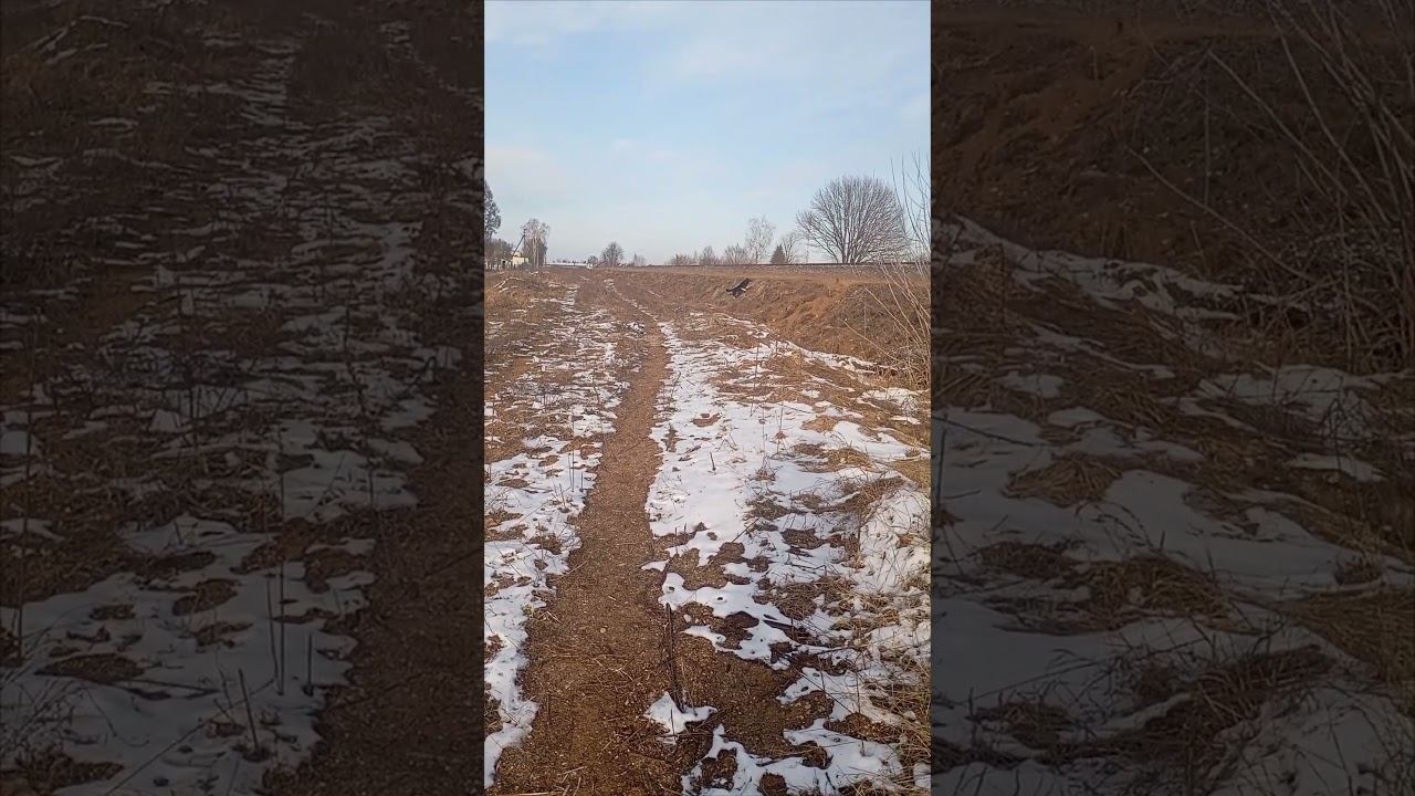 Исчез