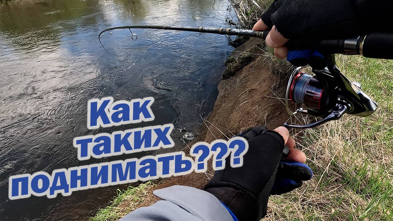 РЕЧКА СНОВА ОЖИЛА!!! ПРИМАНКИ И ОСНАСТКИ ДЛЯ ТРОФЕЙНОЙ РЫБАЛКИ!!!