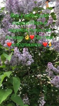 Верь в лучшее #все в твоих руках #меняй#твори#это твоя жизнь ❤️подпишись пожалуйста ❤️🙏