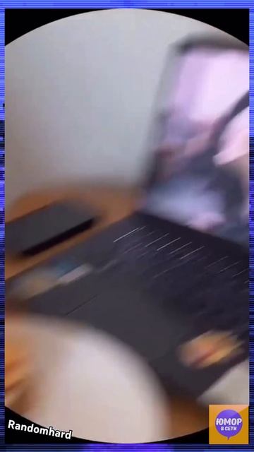 Каждая кошка - это Гепард 😂 #коты #юмор #смех #ор #топ #рофл