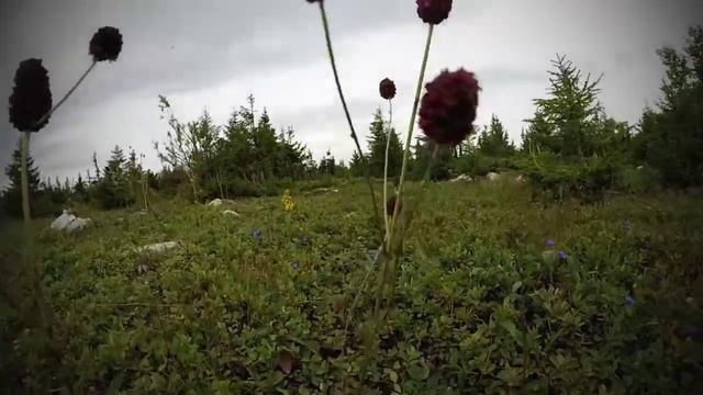 Зюраткуль 2020