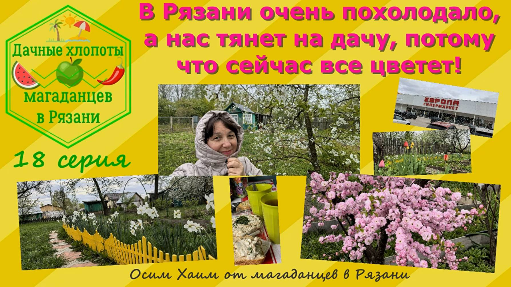 В Рязани похолодало, а нас тянет на дачу, потому что все цветет! Район Европы, Шереметьево. 18 сери