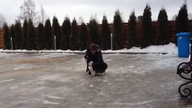 Спортвилль