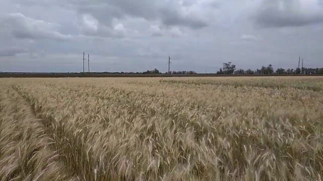 Научно производственная фирма ФИТОН.Ганеев Вадим Анварович