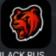 БР