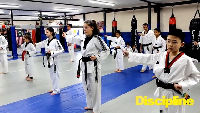 Masters Academy Taekwondo Prom/Free trial/01752 262233