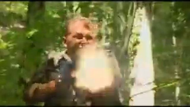 Пограничная полоса