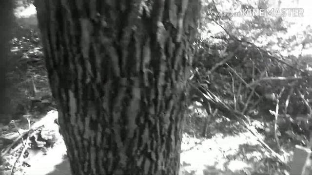 Сломали Базу#•_•