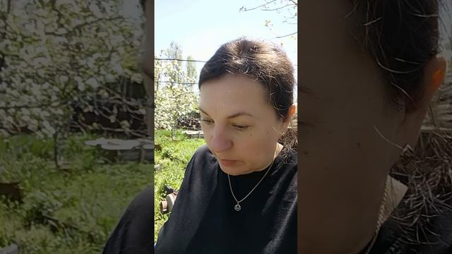 САЛАТЭС на обед 🥗 Разговоры на кухне 💥