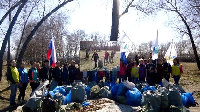Экологический фестиваль
