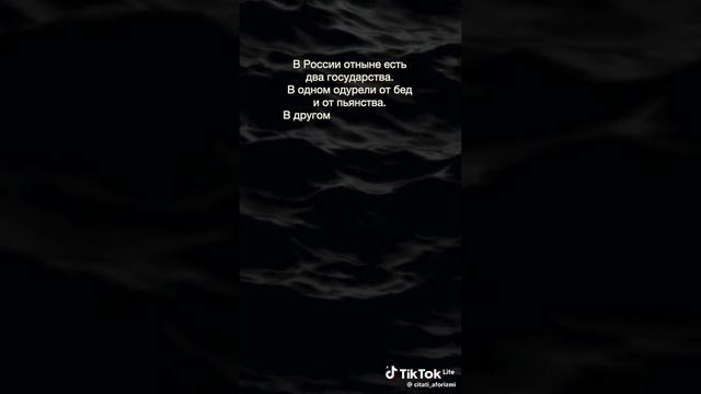 VID-20250428-WA0011.mp4