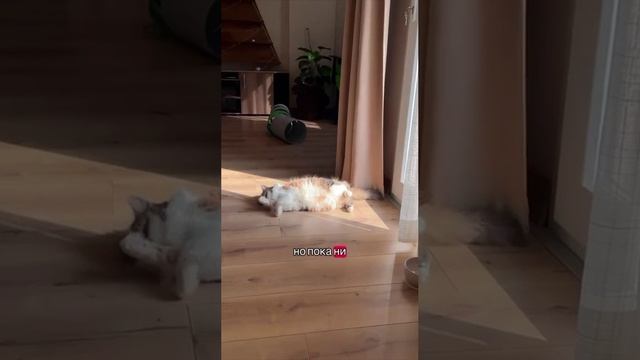 Полмиллиона рублей заработала девушка всего за три месяца