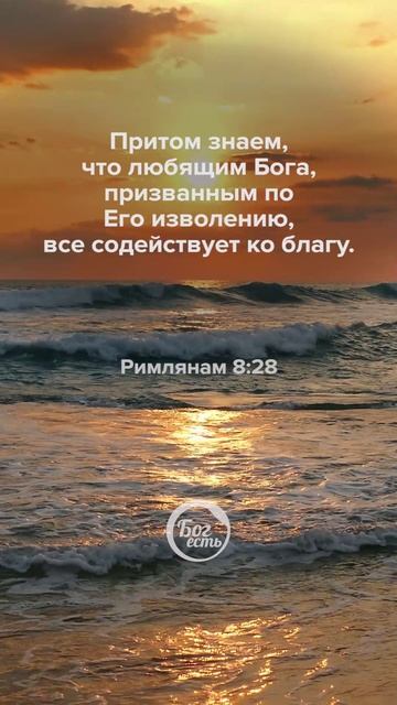 Римлянам 8:28