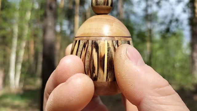 Шкатулка в весеннем лесу с березкой и сосной