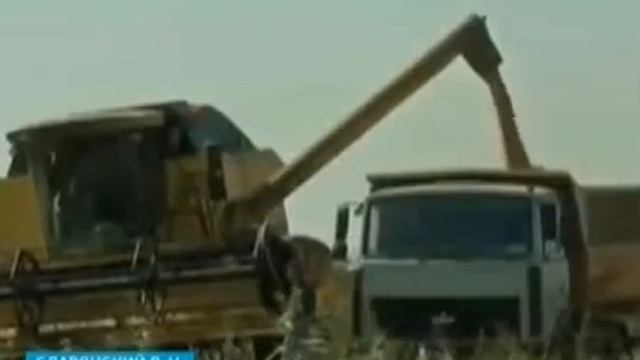 2014-11-13 Итоги уборки риса на Кубани