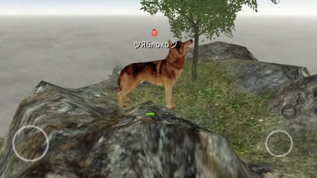Мой Wolf Online 2 часть