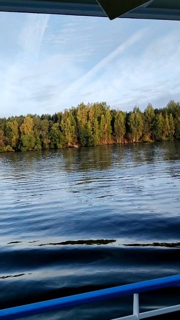 Доброе утро