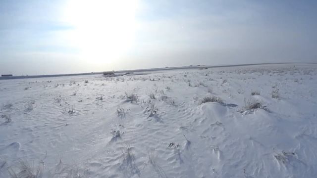 ОХОТА на ЗАЯЦ. ПАТРОН не зарядил,ВСЕ РАВНО ВЗЯЛ.КУРОПАТКА.ҚОЯН-МЫЛТЫҚ АҢШЫ,2020-2021г.КАРАГАНДЫ.КЗ.