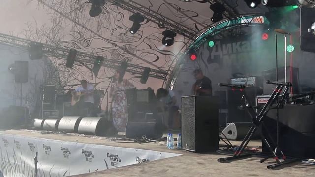 Куйбул Фестиваль Фестиваль Дикая мята