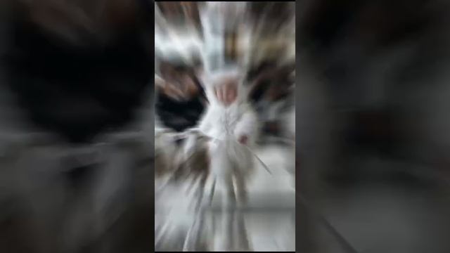1000075476.mp4