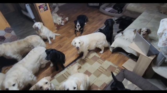 1000439798.mp4