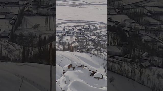 16 июня 2020 г.