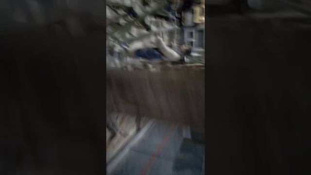 Севкабель порт инсталляция боев великом отечественном воины