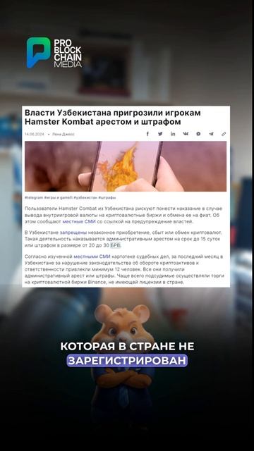 😱 АРЕСТ И ШТРАФ ЗА ИГРУ HAMSTER KOMBAT!?! #крипта #hamsterkombat