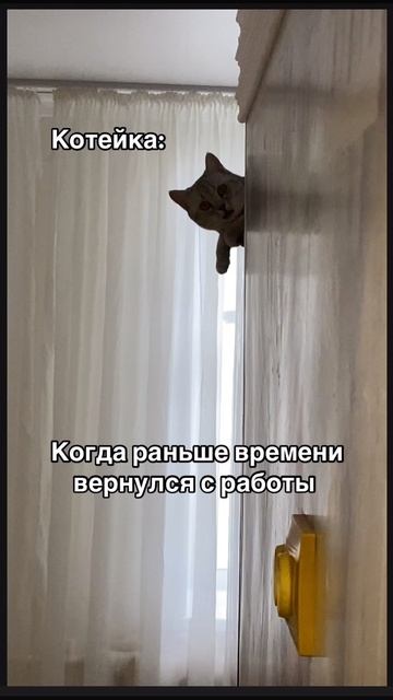 29-04-2025