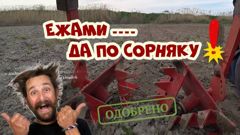 МОТОБЛОК НЕВА В РАБОТЕ С ЕЖАМИ ПОЛОЛЬНИКАМИ ПО КАРТОФЕЛЮ