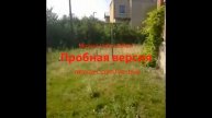 Грибы Тает лёд версия мяч