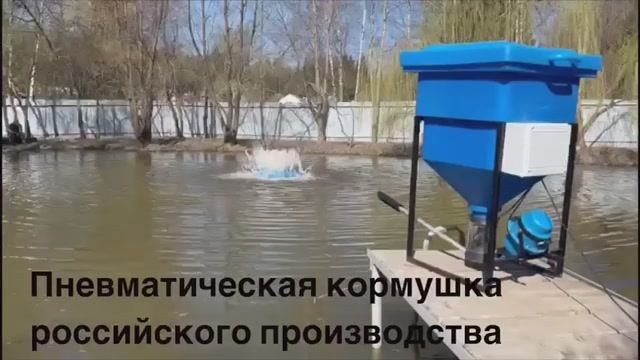 Пневматическая высокотехнологичная автоматическая кормушка российского производства .