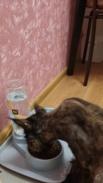 У меня хороший аппетит