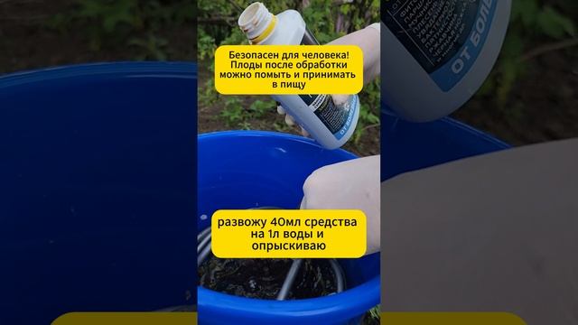 Часть 2. Готовим многолетники к сезону