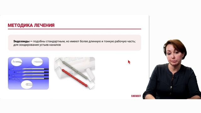 Запись вебинара «Базовые принципы эндодонтического лечения»
