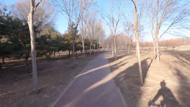 Cycling around the Wenyu River in Beijing China【4K】骑行北京