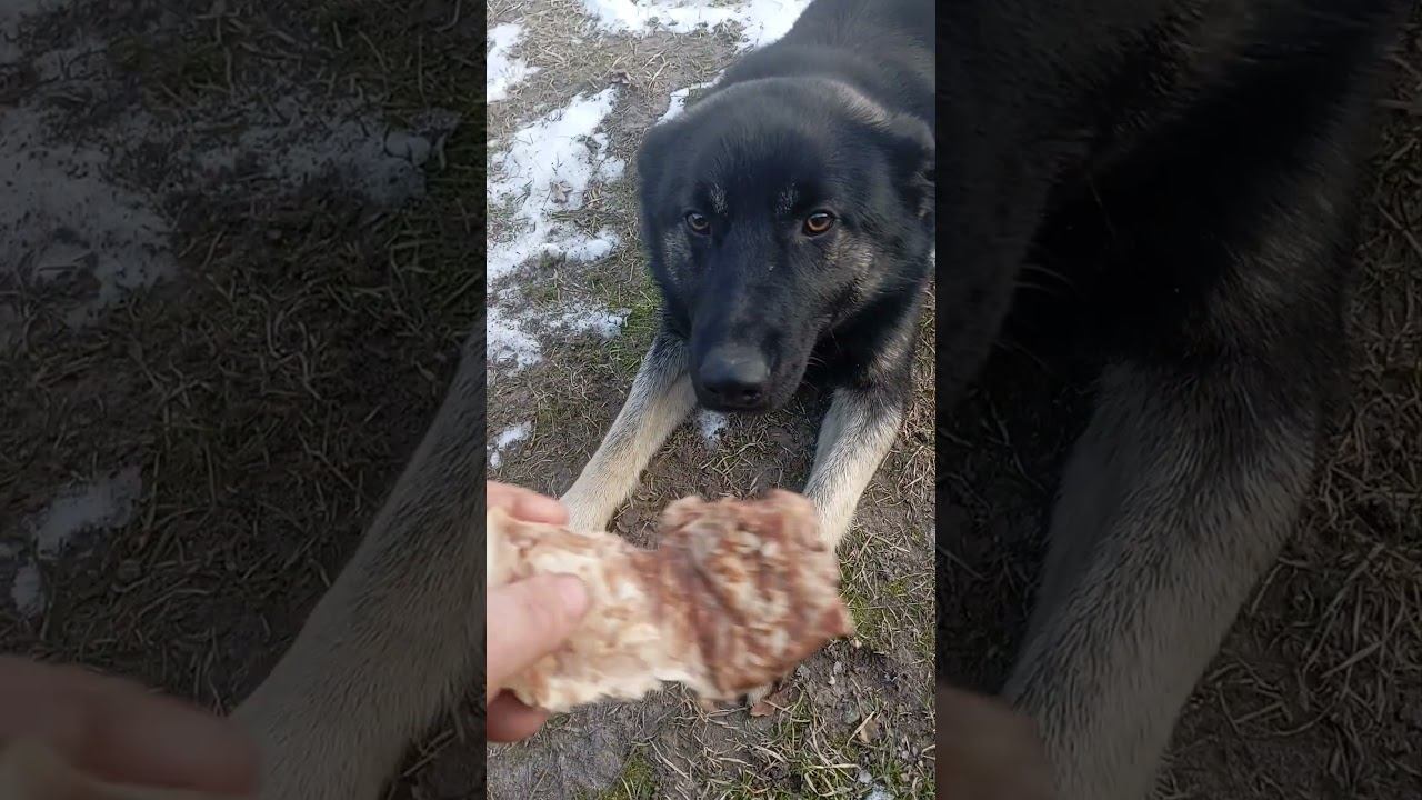 Мням