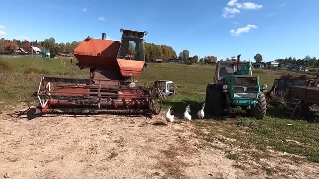 УТРО В ДЕРЕВНЕ