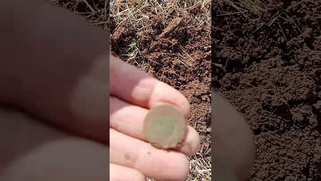 VID_20250404_140204_479.mp4