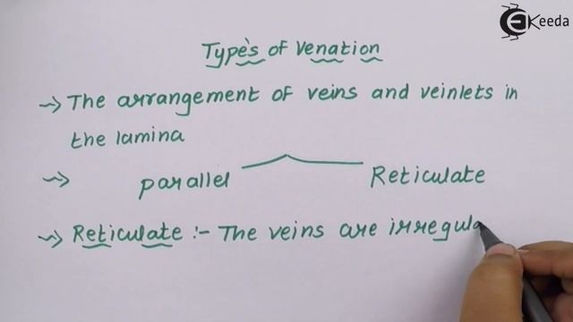 Types of Venation in Leaf - Morphology of Flowering Plants - Biology Class 11