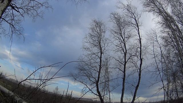 Охота в Черепановском районе Новосибирской области