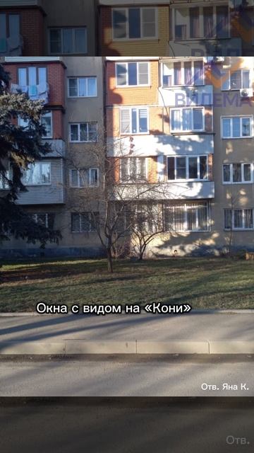 квартира