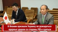 В Японии призвали Украину не дожидаться ядерных ударов со стороны РФ и сдаться