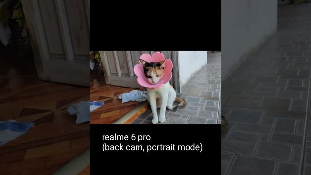 iPhone 13 mini vs Realme 6 pro Camera comparison