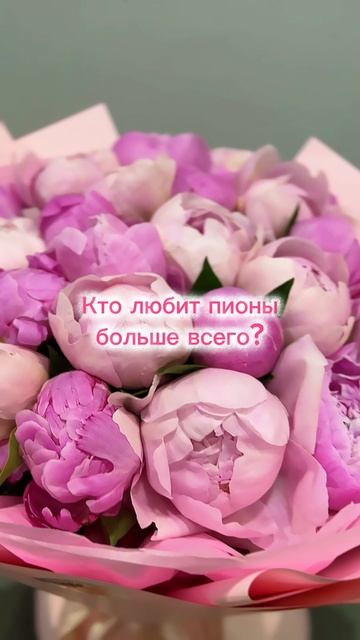 ПИОНЫ. Все любят пионы больше всех! Или есть конкуренты у Пионов? #пионы #цветы #подарок