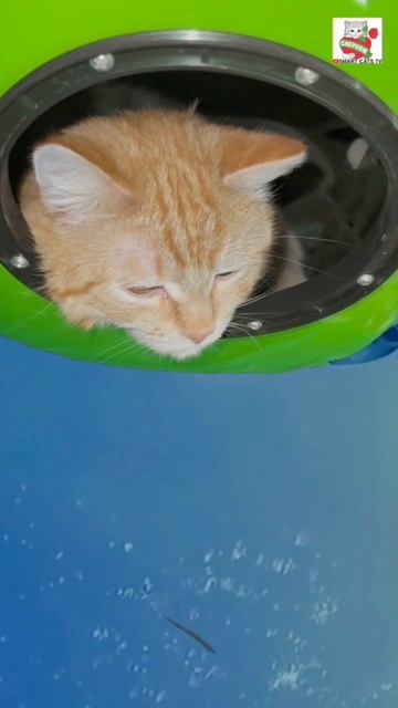 Вот она мощь вот она сила 🌞💪😻😻🌍