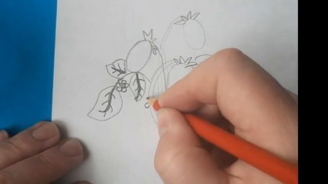 Как нарисовать клубнику, легко и просто
