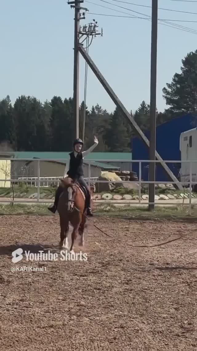 Конный спорт
лошадь
топ
reels
music
музыка
животный